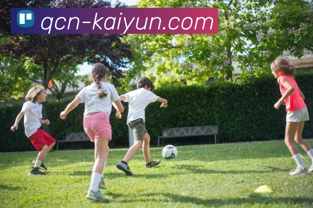 开云平台生态图